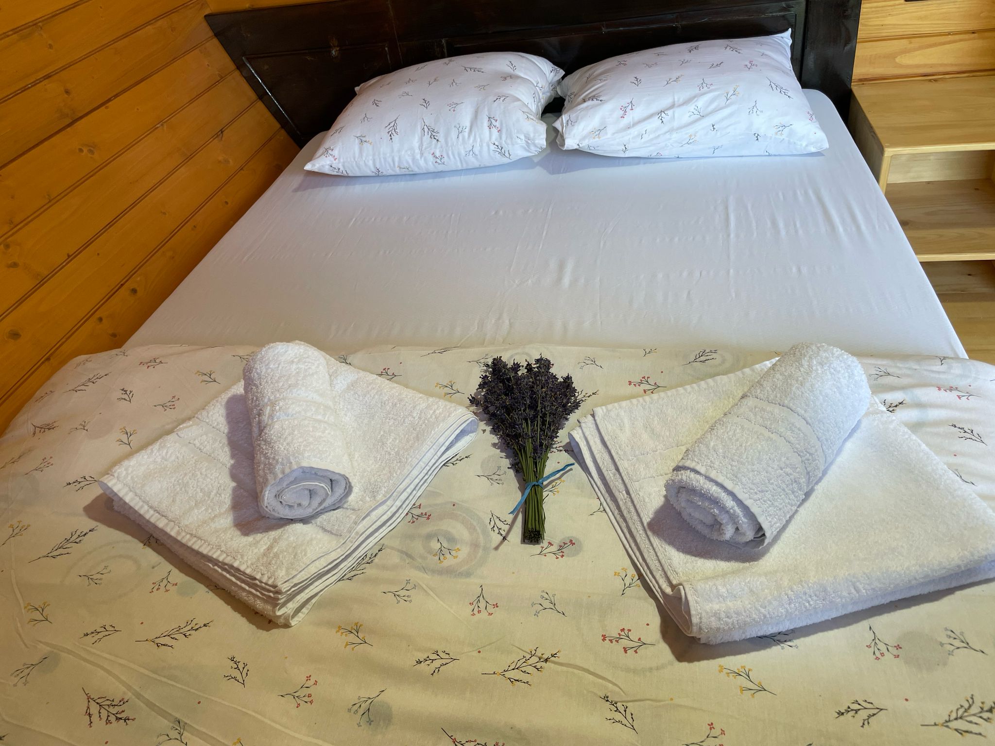 Interior 2